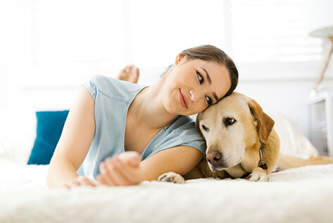 Pet Grooming FAQ