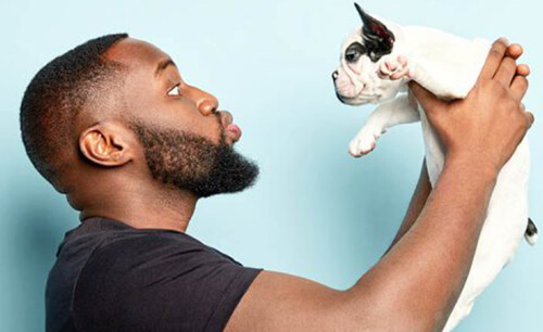 Stylish Dog Trim